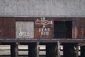 Dead Bod (geograph 4427797)