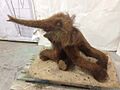 Dima baby mammoth model