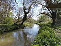 Eastern Yar River, Isle of Wight, UK
