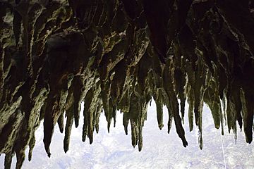 Estalactitas en Parque Nacional de las Cavernas del Río Camuy
