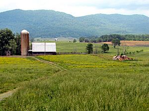 Farm-near-Speedwell-tn1
