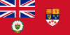 Flag of the Lieutenant-Governor of Ontario (1959-1965).svg
