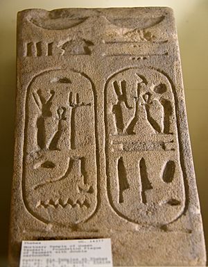 Foundation plaque bearing the double cartouches of Queen Twosret. From the mortuary temple of Queen Twosret (Tawesret, Tausret) at Thebes, Egypt. 19th Dynasty. The Petrie Museum of Egyptian Archaeology, London