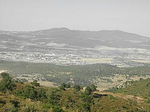 Guelma Valley as seen from Ben Djerrah, partially showing the metropolitan area of Guelma with the cities of Boumahra Ahmed, Belkheir, and Guelma visible (from right to left/east to west)