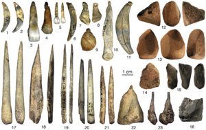 Grotte du Renne ivory