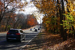 Hammond Pond Parkway P1030956