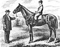 Harry Bassett (USA)