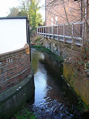 Herrings Stream - geograph.org.uk - 684415