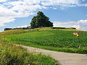 Irgenhausen castrum (S) IMG 3436