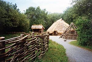 Irish National heritage Park Ferrycarrig - geograph.org.uk - 3358912