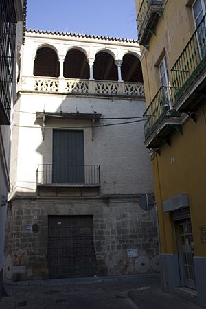Juderia de Sevilla-Casa de los Pinelos 2-20110915