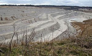 Kensworth Chalk Quarry - geograph.org.uk - 1175264.jpg