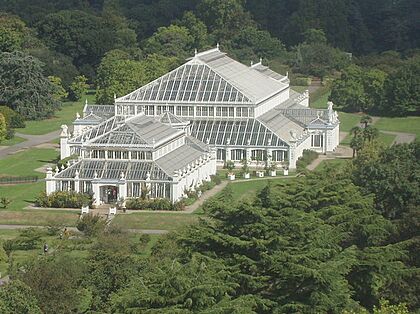 Kew Gardens Temperate House from the Pagoda - geograph.org.uk - 227173