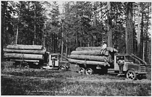 Ladd photo of solid-tired Moreland logging trucks of Biles Coleman Lumber Co. on the Moses Mountain logging unit.... - NARA - 298699