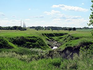 Little Salt Creek (tributary and marshes), Lincoln, Nebraska, USA