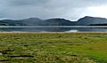 Loch Fleet from the east bank