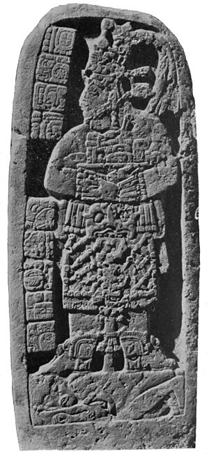 MA D367 Maya stela 24, Naranjo, Guatemala