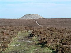 Maeve's Cairn - geograph.org.uk - 1880
