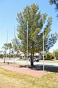 Manangatang Lone Pine and Flagpoles