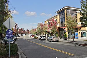 Main Street in the Mill Creek Town Center