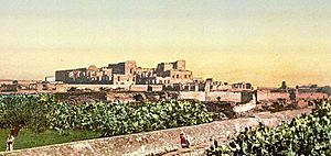 Mohamedia - Tunisia - 1878