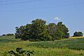 Mound Hill Archeological Site