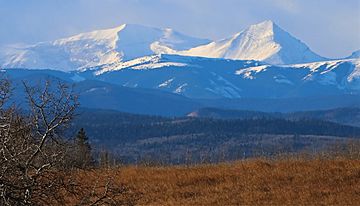 Mountain Views from Ann and Sandy Cross conservation area Calgary (crop).jpg