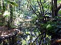 Mt. Coot-tha Botanic garden - Flickr - gailhampshire
