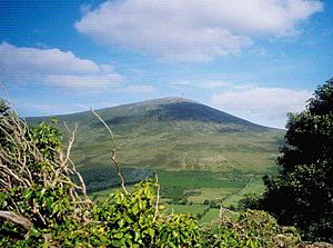 Mt Leinster