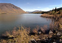 Nares Lake near Carcoss, Yukon (15077386048).jpg