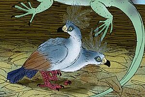 Natunaornis gigoura (cropped)