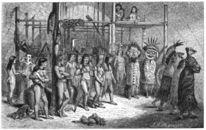 Naturalist on the River Amazons figure 38