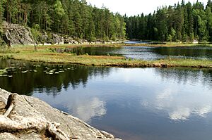 Nuuksio peat accumulations