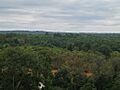 Ocmulgee