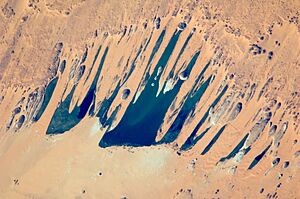 Ounianga Lakes from ISS