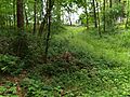 Ovelgönne Buxtehude Lehmkuhle
