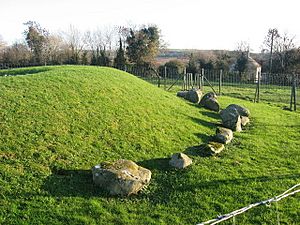 Passage tomb, Townleyhall, Co. Louth - geograph.org.uk - 1078235