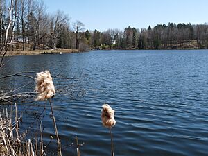 Looking southeast across the north end of Lake Kathryn from Lake Road, in April