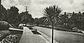 Piedmont Ave1915