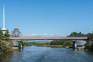 Puente Caucau, Valdivia, 20190216 - 12