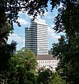 Rathaus - panoramio (120)