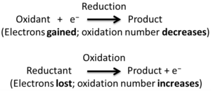 Redox Halves