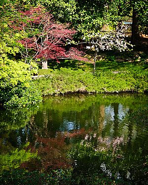 Reflections of the Spring vegetation in the Japanese Gardens at the Ft. Worth Botanic Gardens