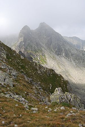 Retezat Mountain - Judele Peak 01