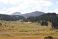 Rio Grande National Forest September 2013