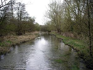 River Dever, Bransbury - geograph.org.uk - 155806