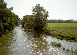 River Eder near Ederauenradweg FKB2