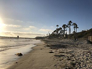 San Clemente State Beach 86 2018-07-02