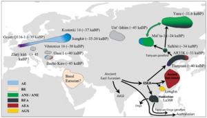 Schematic of Populations in Eurasia from 45 to 10 kaBP (migration routes)