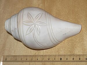 Shankha with rosette